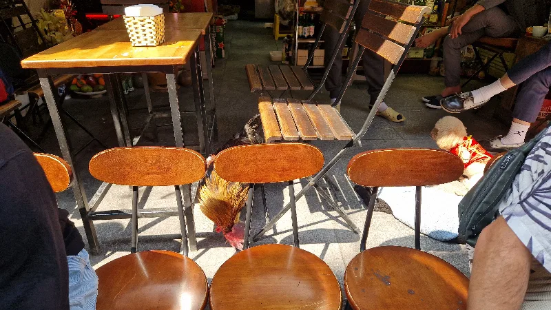 Zdjęcie z portfolio